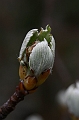 Resize of _MG_7603